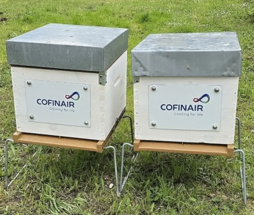 Cofinair Beehive